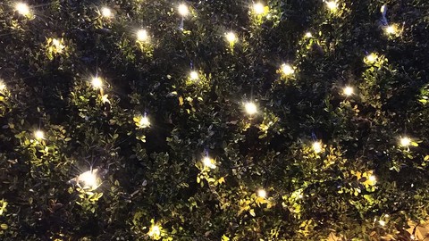 light