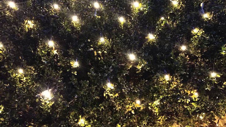 light