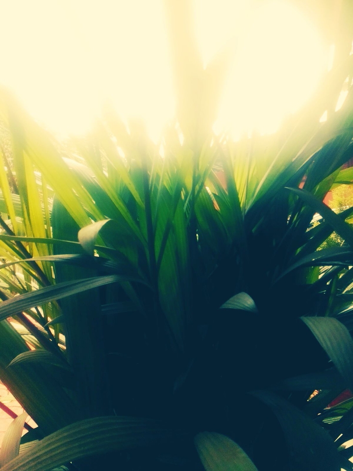 #Greenery