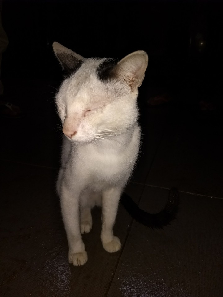 kiti