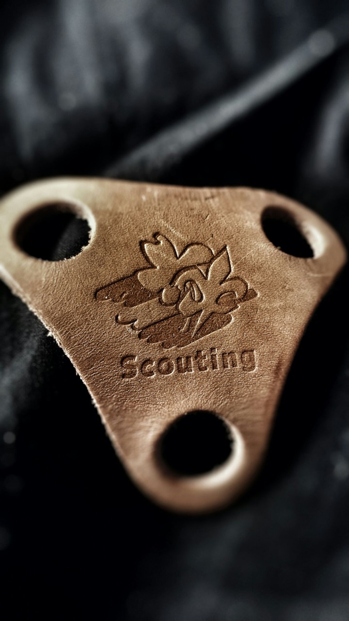 being a scout is amazing