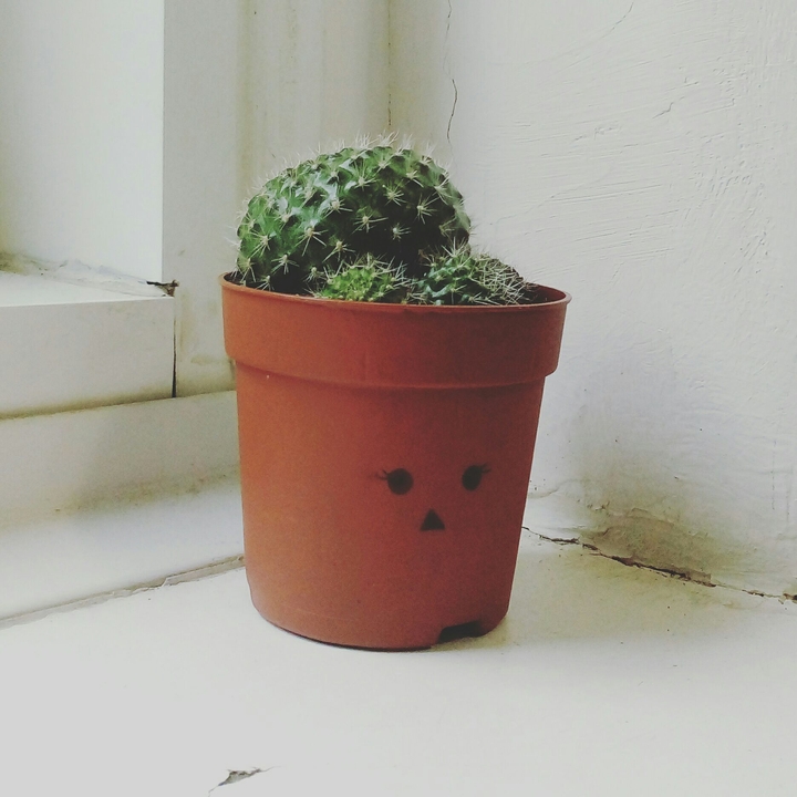 Hi