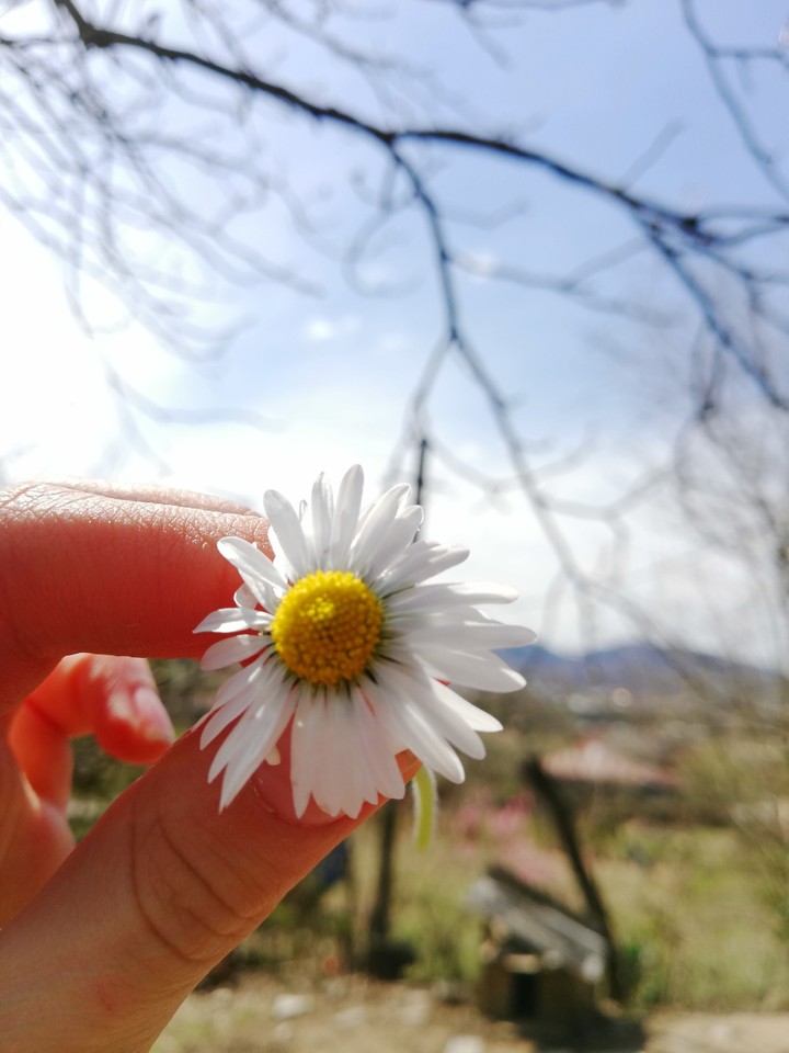 lovely