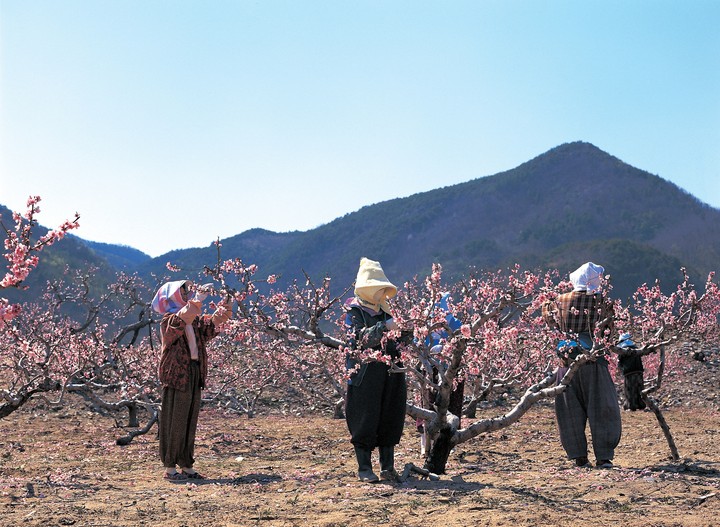 산업