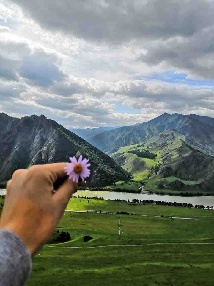 природа Алтая