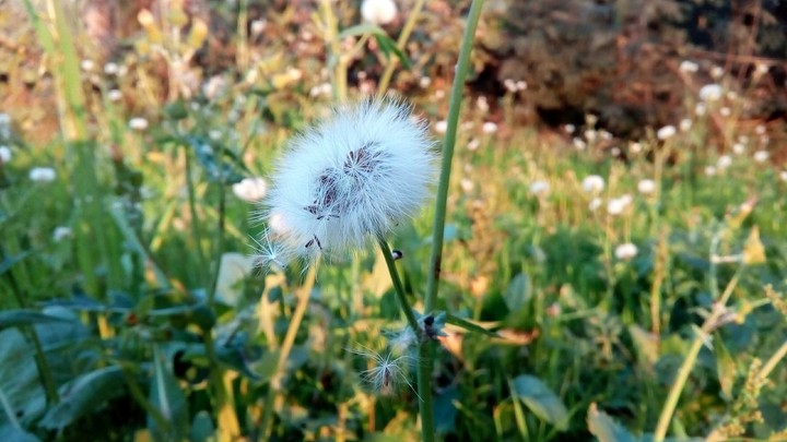 Nature's beauty