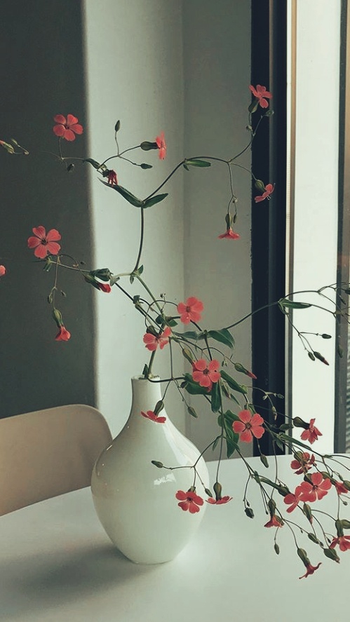 flowers