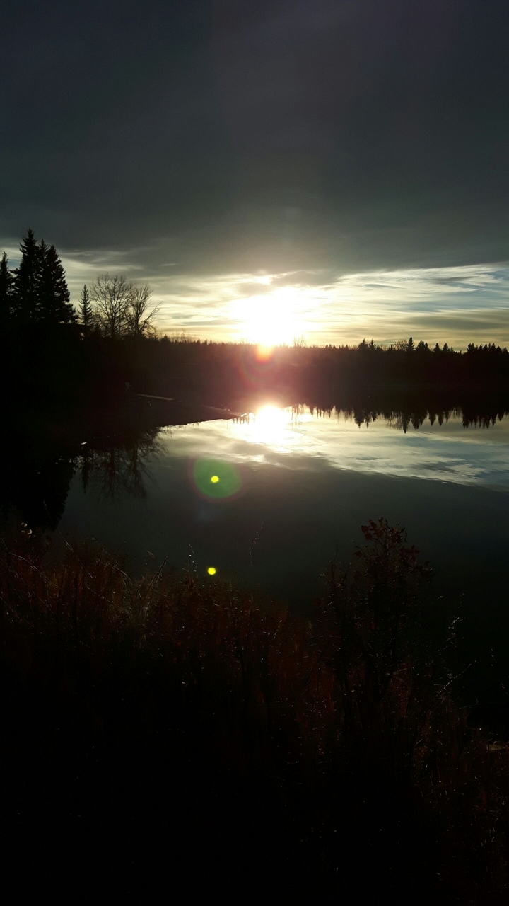 beautiful sun