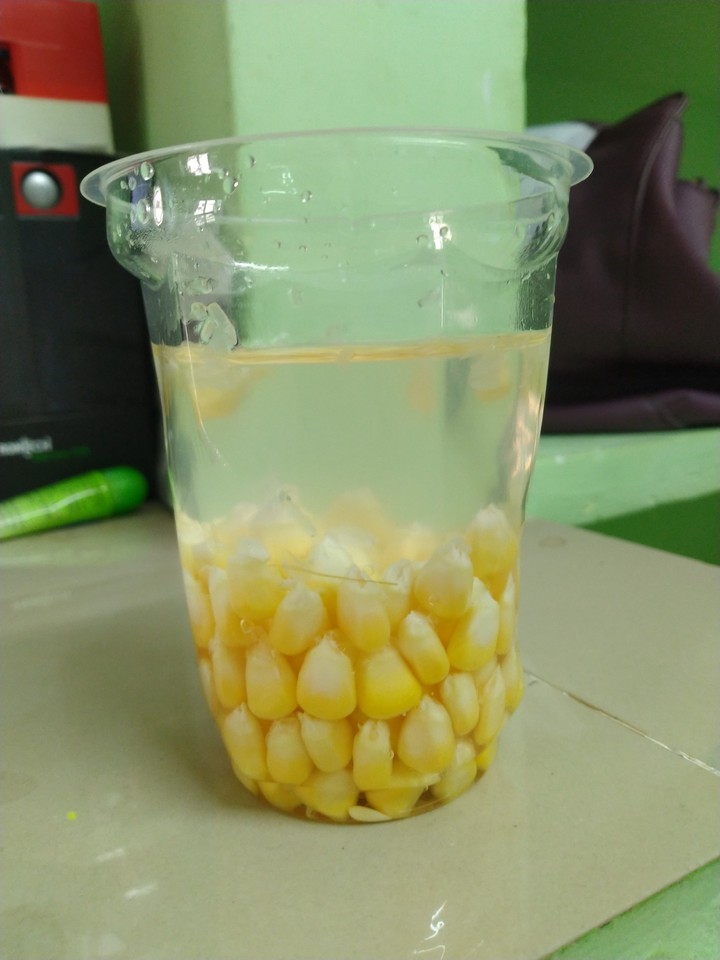 @Sweet Corn