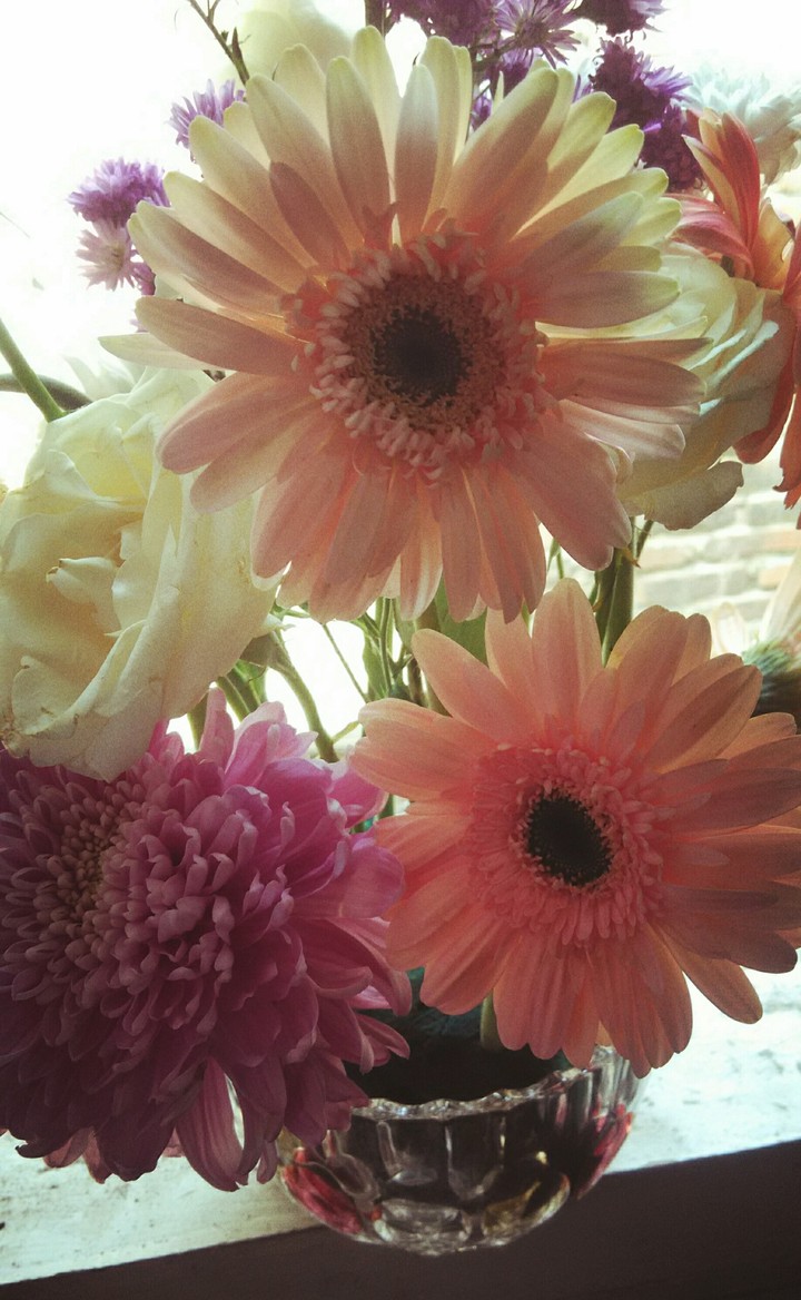 flowers
