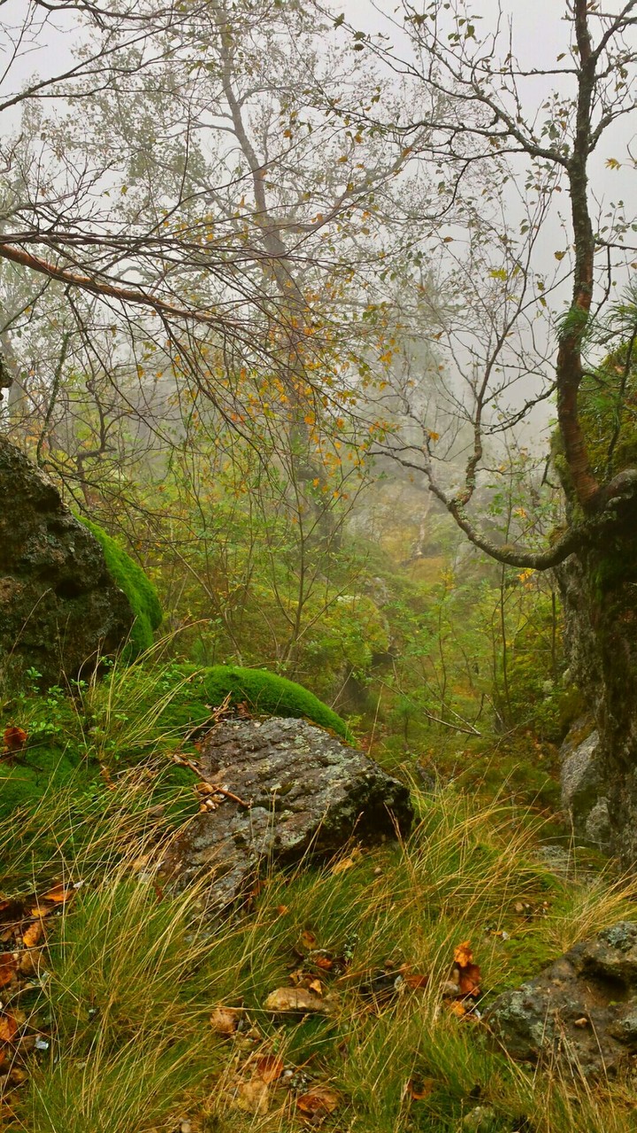 Mountain  Polyud