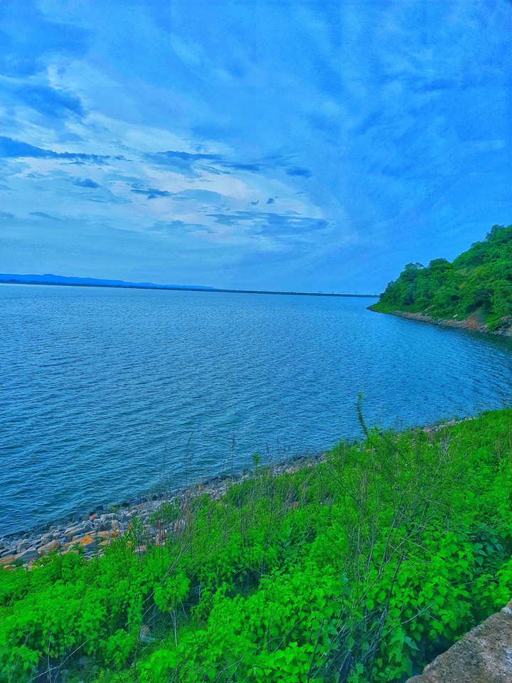 Nature Is Love