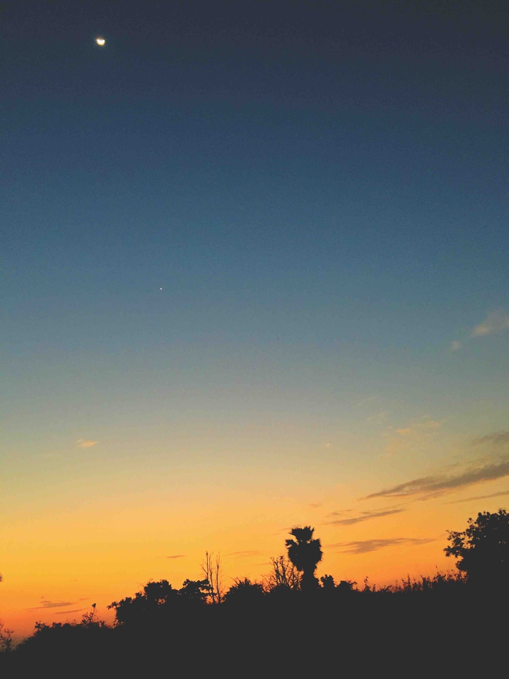 Nature Love