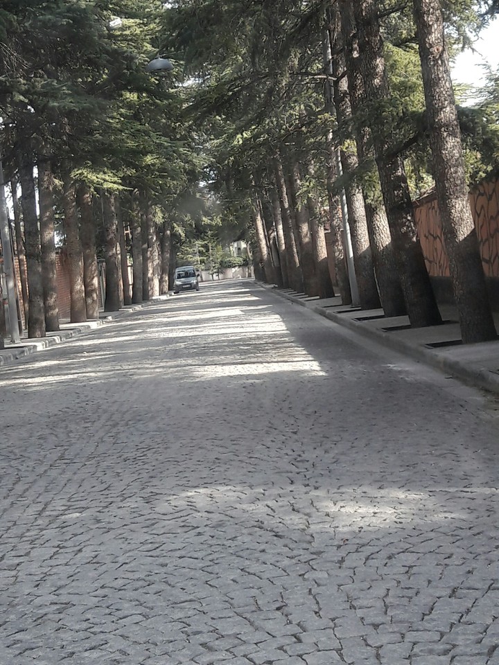 aşıklar sokağı