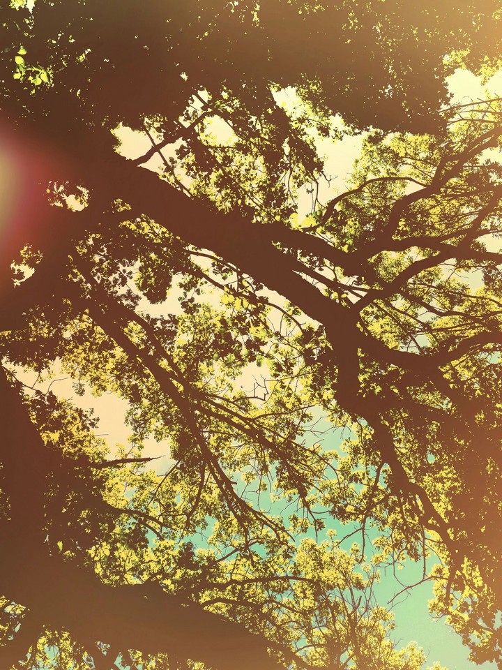Looking up at Rockcut
