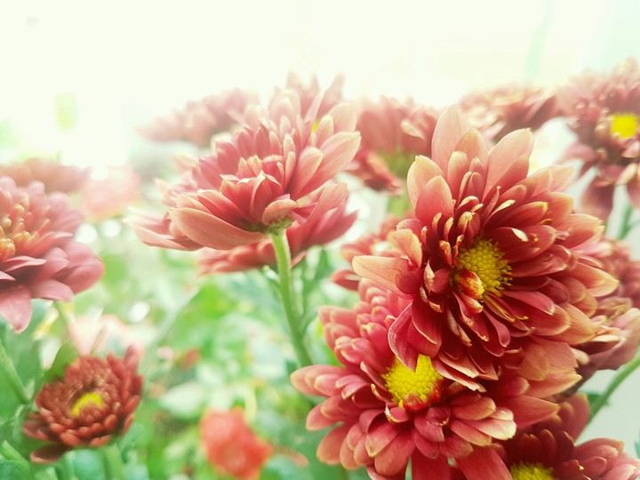 lovely