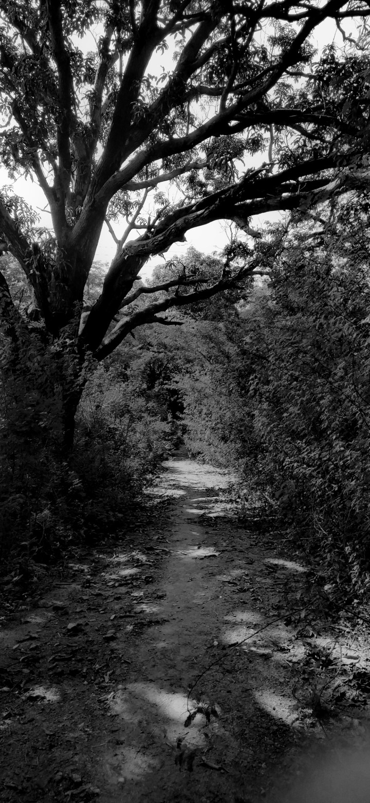 On the way to be wild.