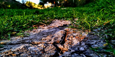 Ground