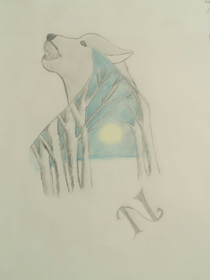 wolf and dreams