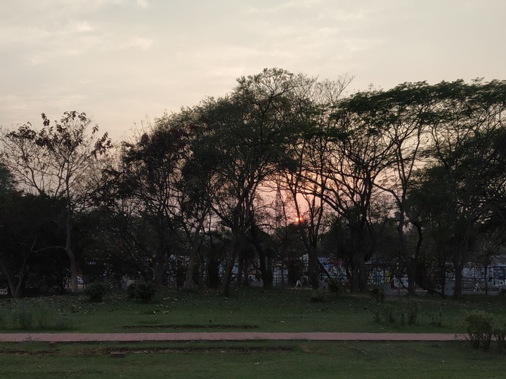sunset