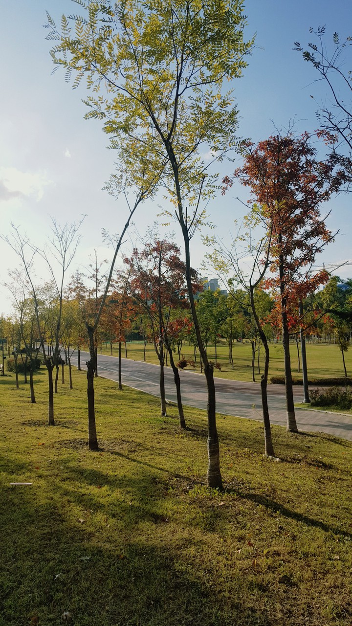 fall