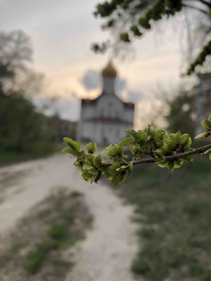 весна