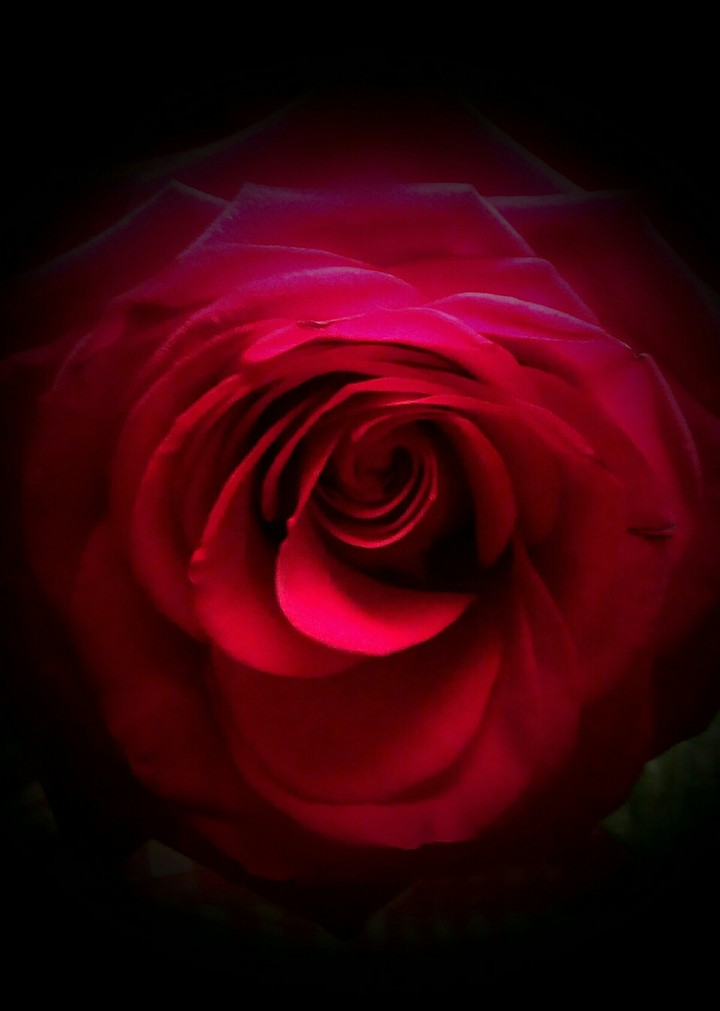Happy Valentines day!