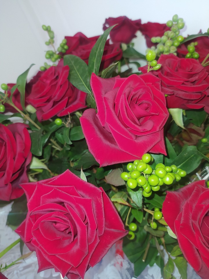 roses