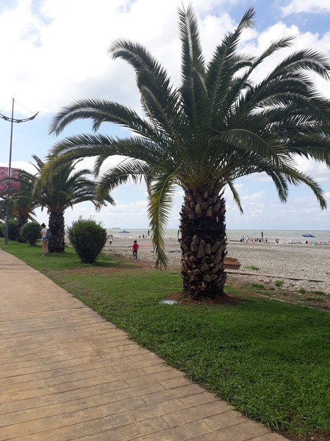 Batumi boulevard