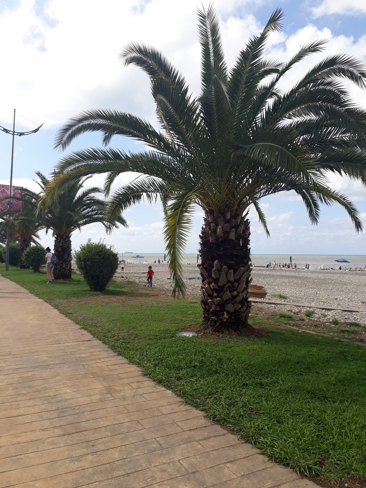 Batumi boulevard
