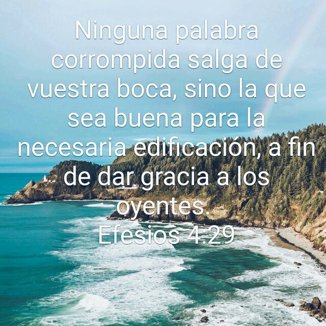 Palabra de vida