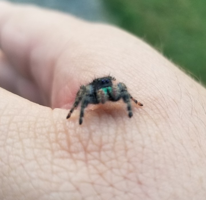 Hi!