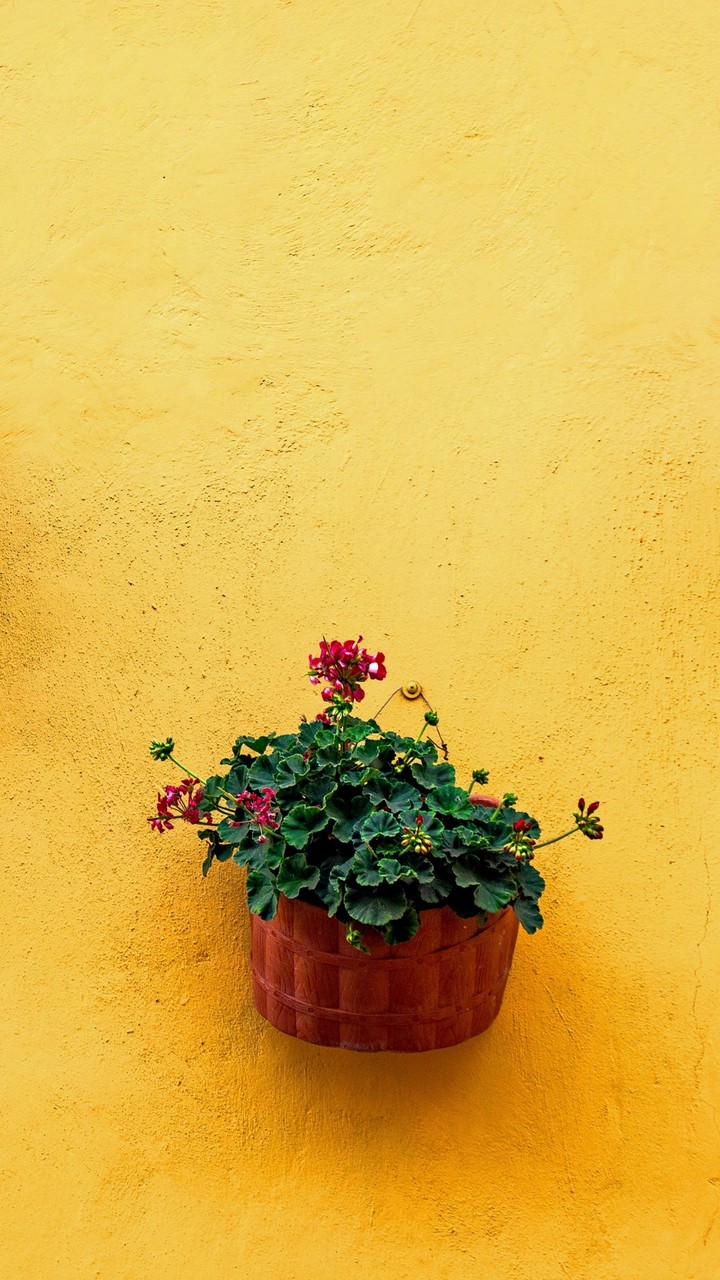 amarillo emoción