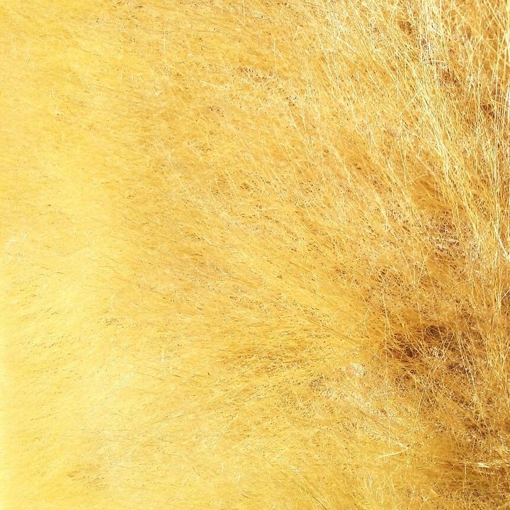 Golden Desert