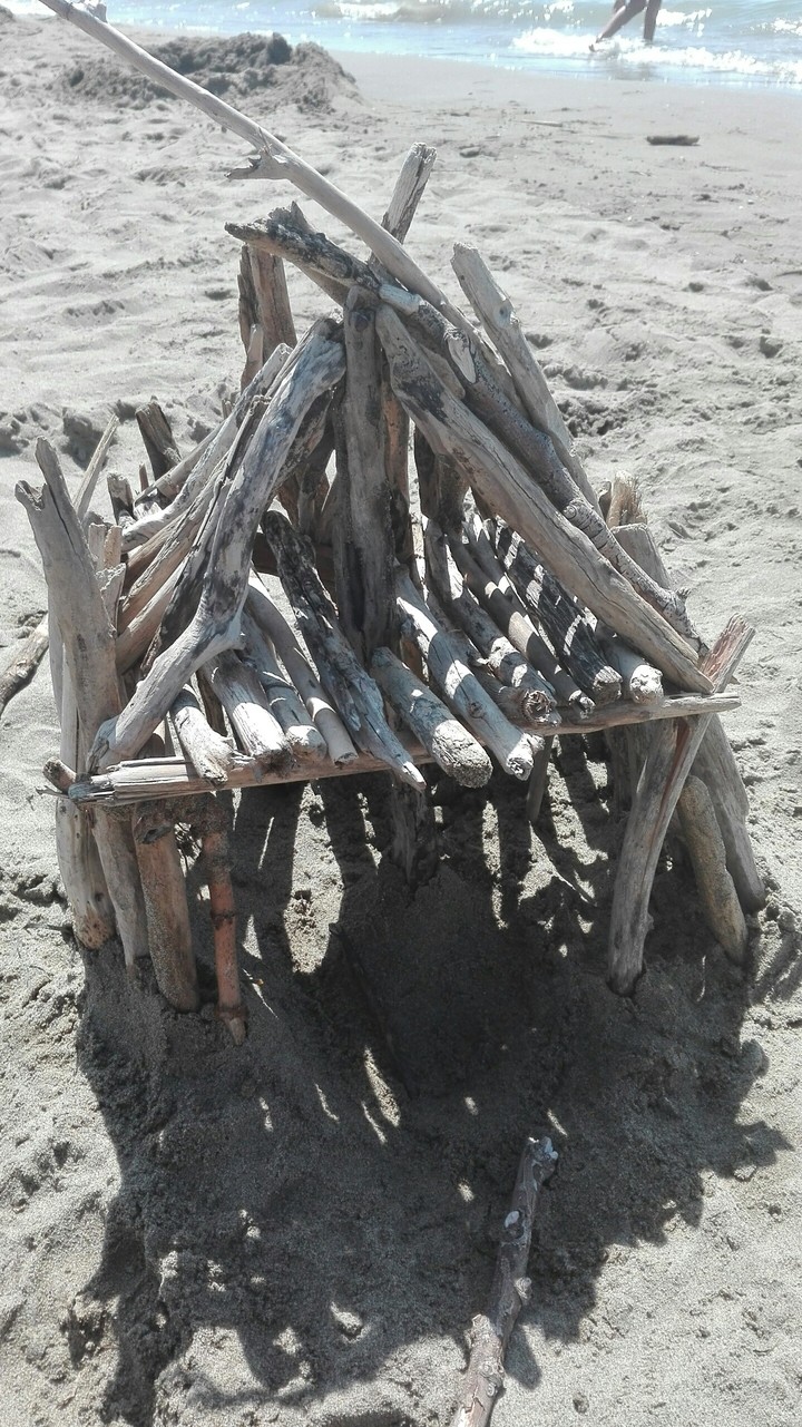 home of wooden