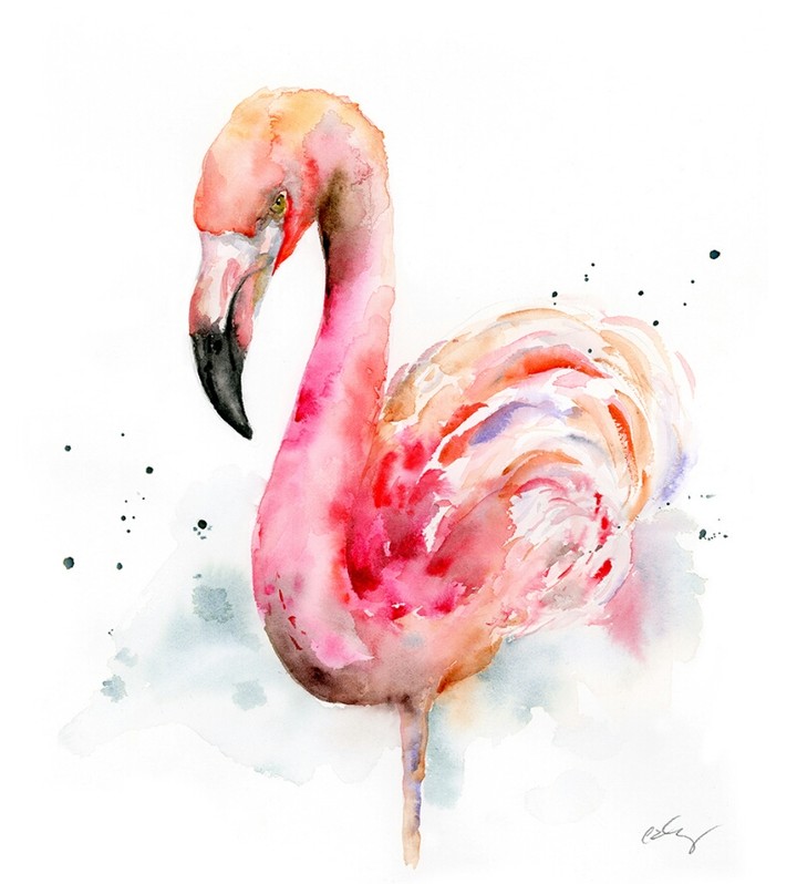 flamingo