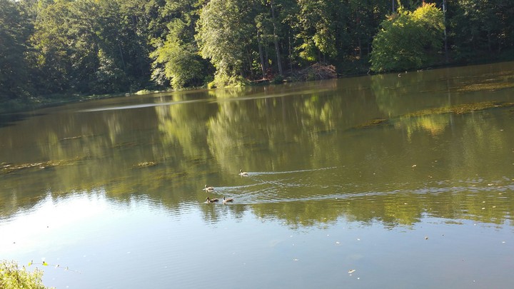 lake