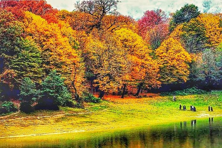nature of fall