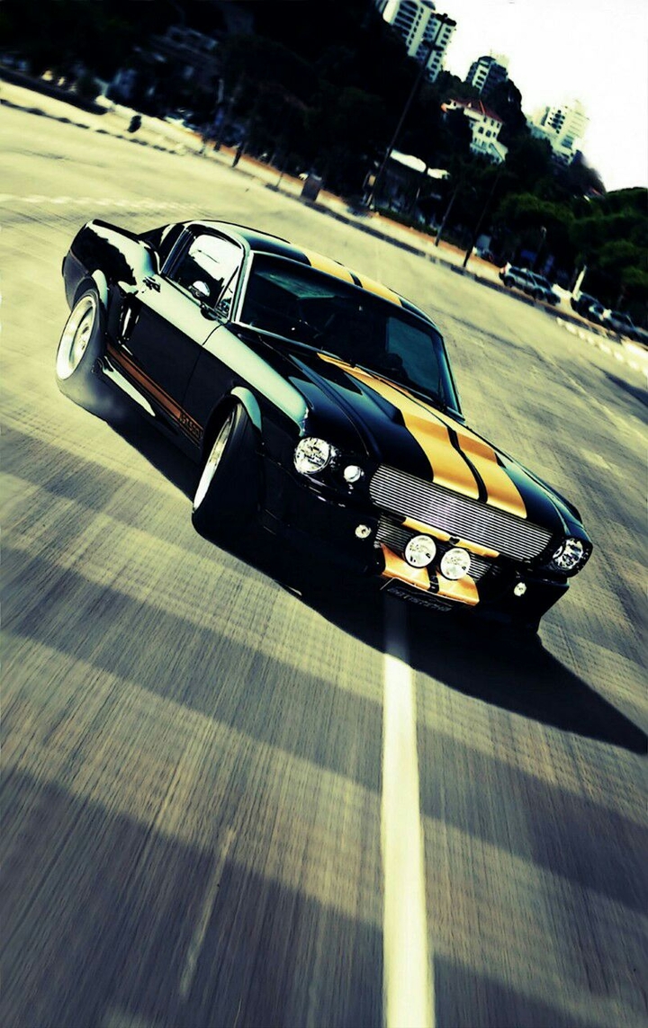mustang