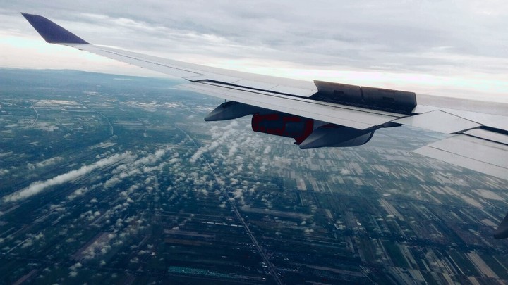 Wings of Freedom