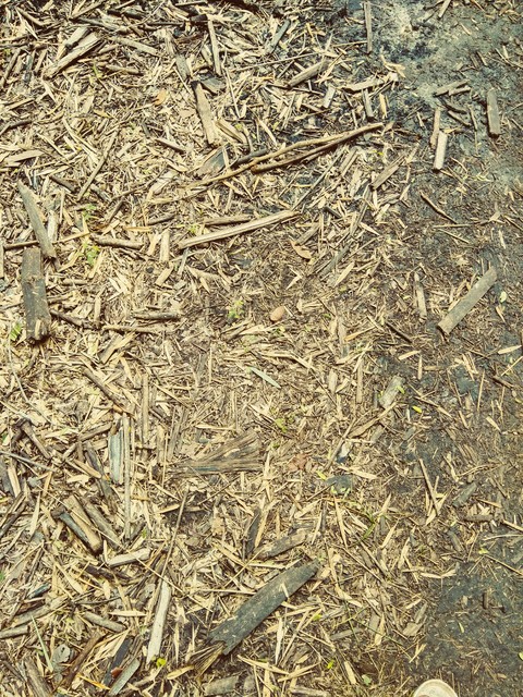 dust