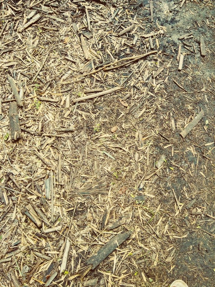 dust