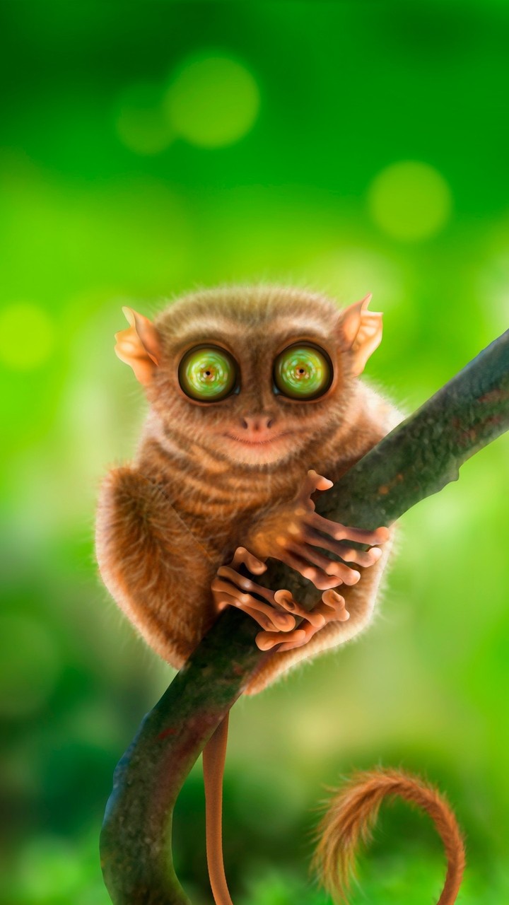 monkey with interesting eyes