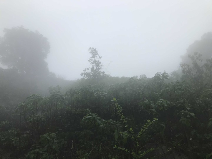 fog