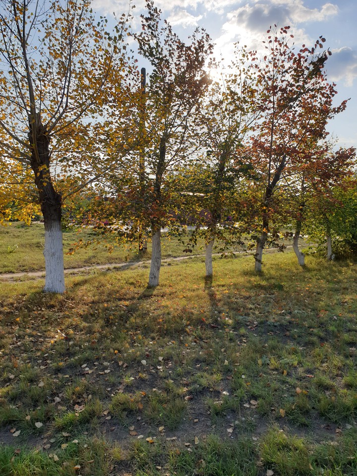 Осень