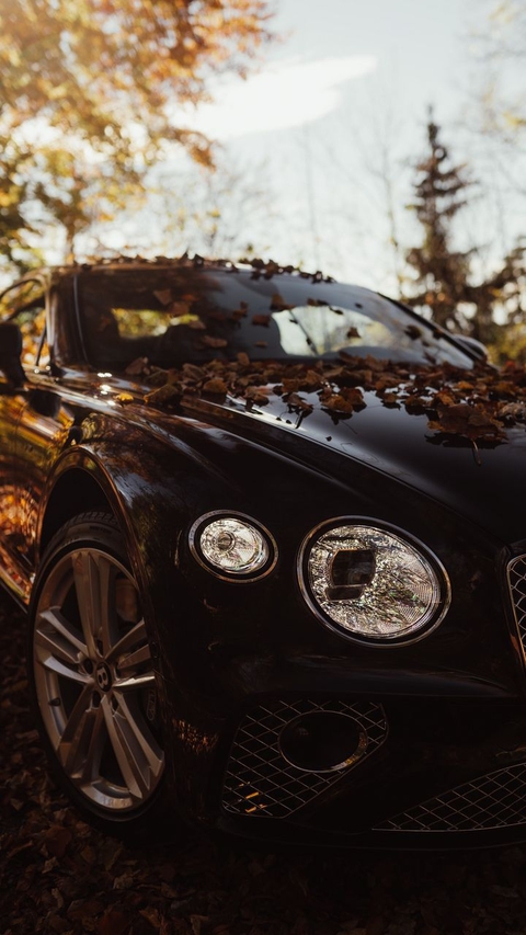шпалери car, bentley
