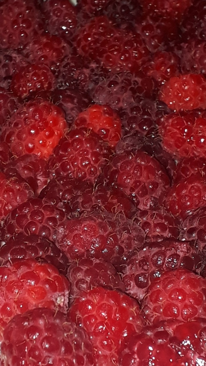 Frambuesas silvestres