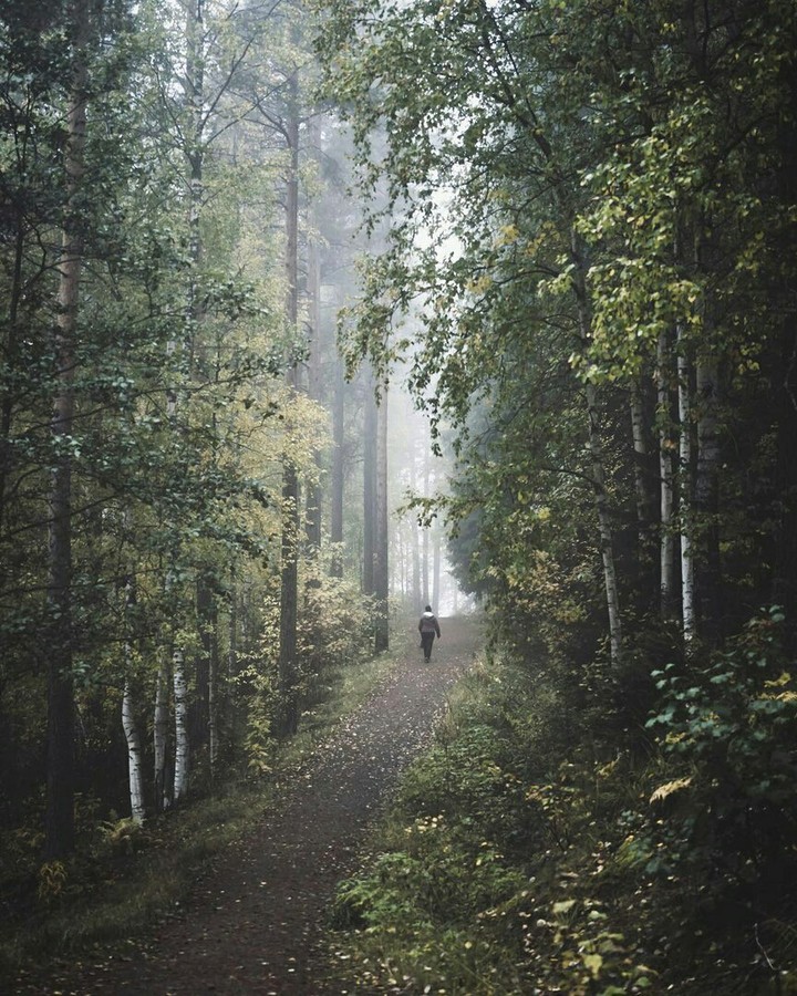 лес