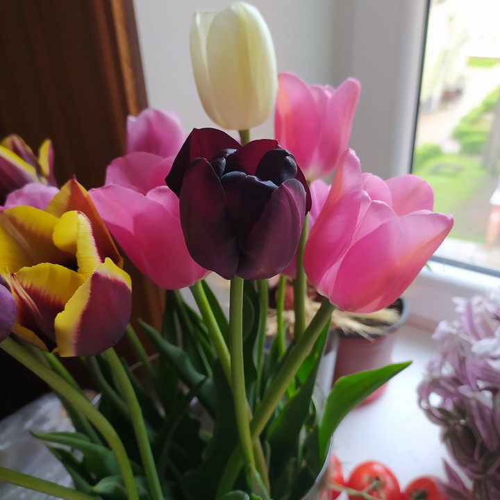bunch of flowers