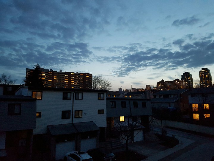 sauga